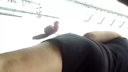 Party-Amateure machen eine Strandparty versaut german porno kostenlos