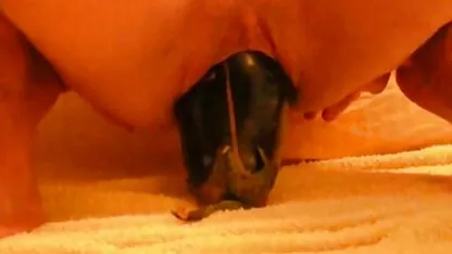 Mein Mann kostenlose deutschsprachige sex videos filmt junge Frau